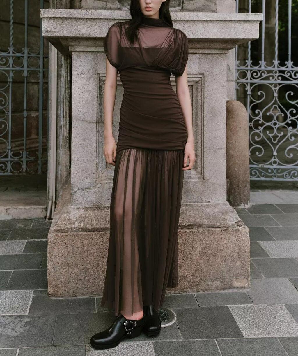 Sheer Ruched Maxi Dress